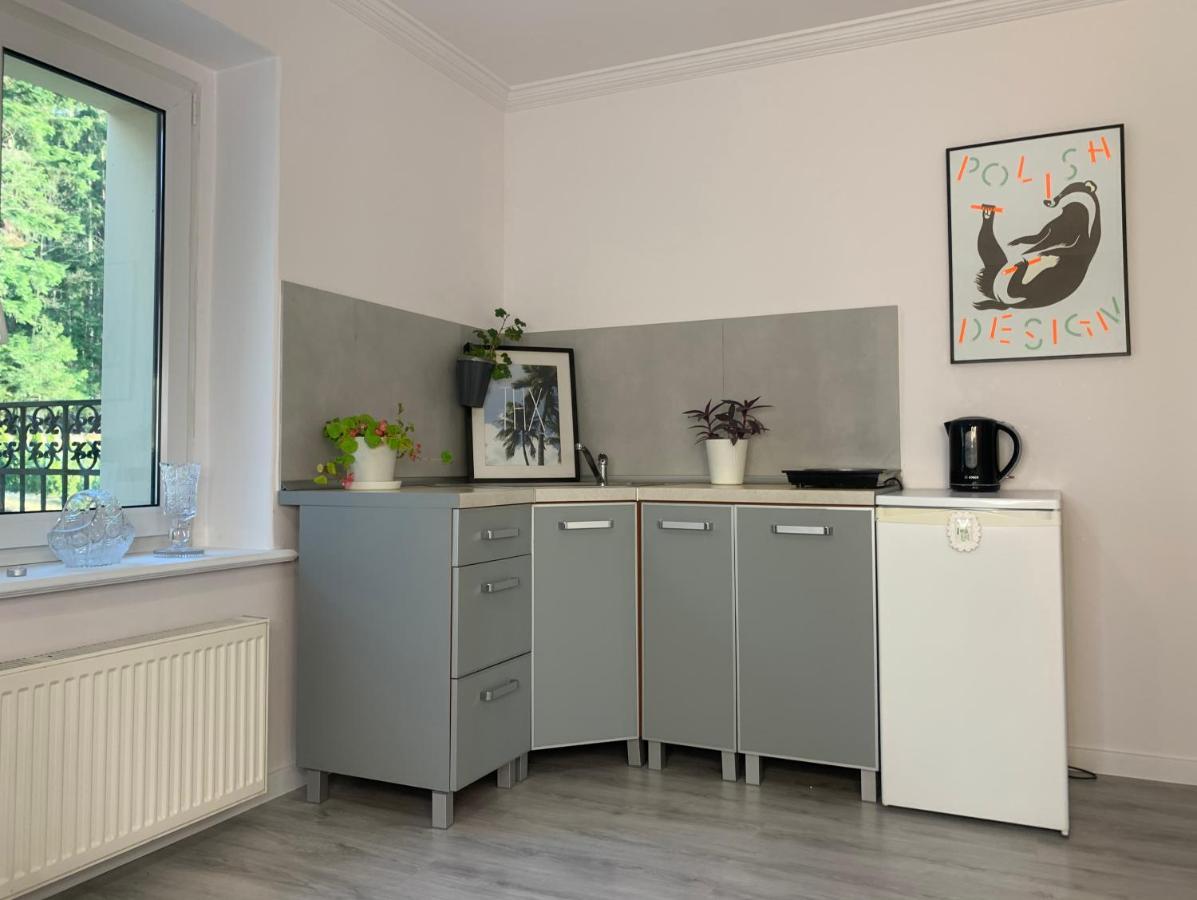 Apartament Lesny - Lesna 30 Kudowa-Zdrój Extérieur photo