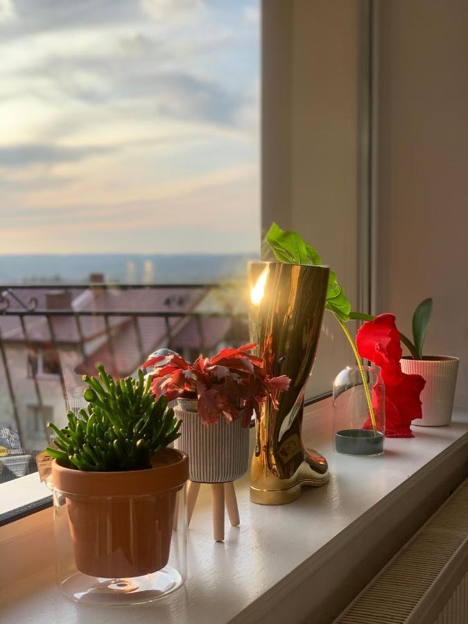 Apartament Lesny - Lesna 30 Kudowa-Zdrój Extérieur photo